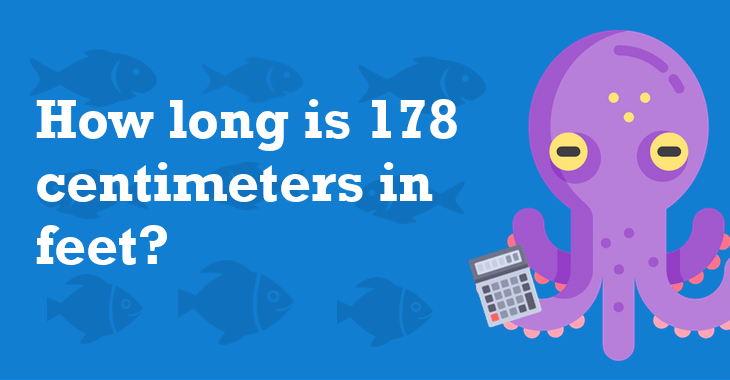 178 Centimeters In Feet How Many Feet Is 178 Centimeters?