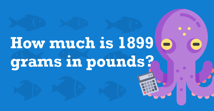 1899 Grams In Pounds - How Many Pounds Is 1899 Grams?