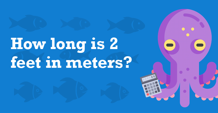 2 Feet In Meters - How Many Meters Is 2 Feet?