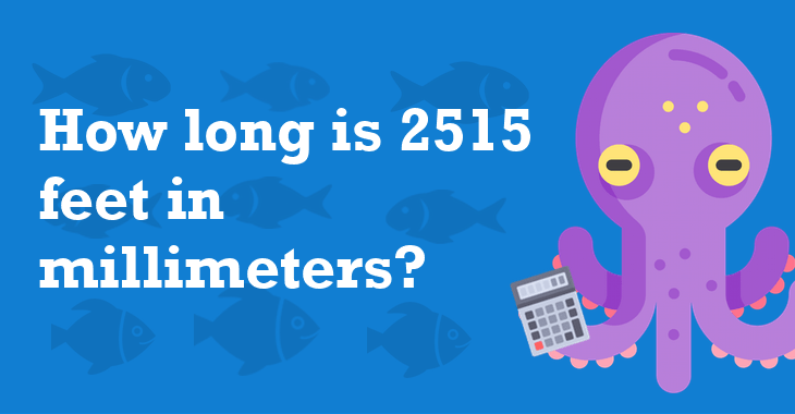 2515 feet in millimeters how many millimeters is 2515 feet 