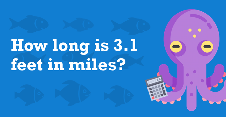 3.1 Feet In Miles - How Many Miles Is 3.1 Feet?