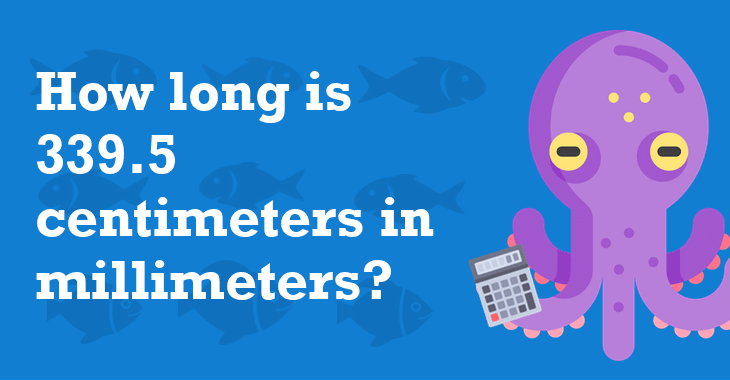 339.5 Centimeters In Millimeters - How Many Millimeters Is ...