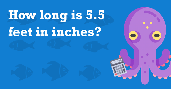 5.5 Feet In Inches How Many Inches Is 5.5 Feet?