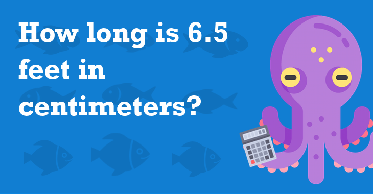 6.5 Feet In Centimeters - How Many Centimeters Is 6.5 Feet?