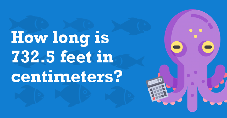 732 5 feet in centimeters how many centimeters is 732 5 feet 