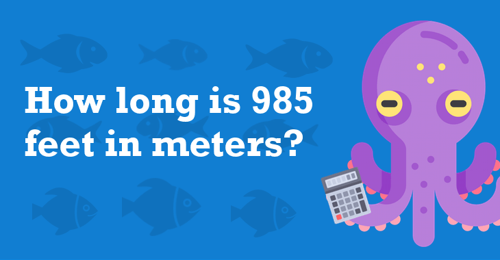 985-feet-in-meters-how-many-meters-is-985-feet